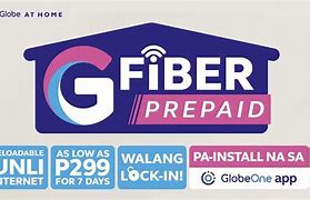 Image result for Globe Fiber