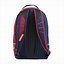 Image result for Sprayground Backpacks NBA