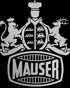 Image result for 3D Logo Mauser
