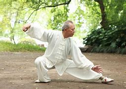 Image result for Tai Chi Going Forward