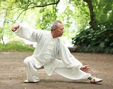 Image result for Tai Chi Chuan Movements