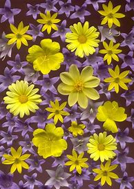 Image result for Yellow and Dark Purple Aesthetic