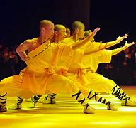 Image result for deadliest kung fu styles