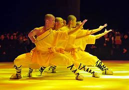 Image result for deadliest kung fu styles