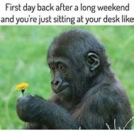 Image result for Welcome Back Monday Office Meme