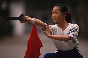 Image result for Chinese Kung Fu Martial Arts