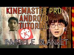 Image result for Harry Potter Invisible Blanket