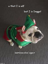 Image result for Bamboozled Doggo Meme