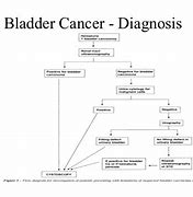 Image result for Bladder Cancer Tumor Size