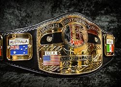 Image result for NWA World Championship Wrestling Belt