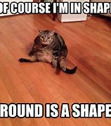 Image result for Sphynx Cat Meme