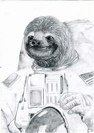 Image result for NASA Sloth