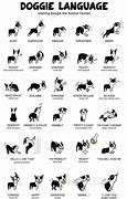 Image result for Dog Language Translator