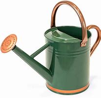 Image result for Best 2 Gallon Watering can