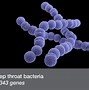 Image result for genoma