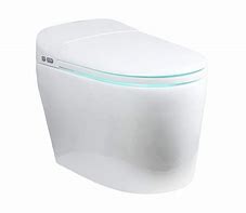 Image result for One Piece Dual Flush Toilet