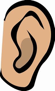 Image result for Ear Cartoon Png