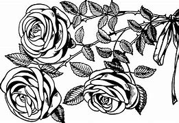 Image result for Vintage Rose Clip Art Black and White