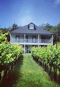Image result for 4R Ranch Trebbiano Sitenbeg
