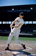 Image result for Ted Williams Stuff