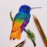 Image result for Colored Pencil Animal Drawings