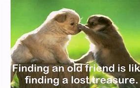 Image result for Today Old Friend Meme