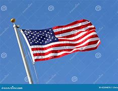 Image result for American Flag in the Wind