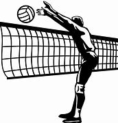 Image result for Volleyball Team Picture Ideas