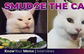 Image result for Cat Memes Origin