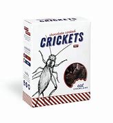 Image result for Chocolate Covered Crickets