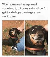 Image result for Dachshund Dog Memes