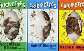 Image result for Salt and Vinager Crickets