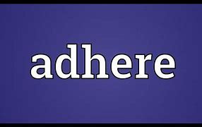 Image result for adheeir