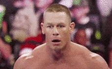 Image result for Fat John Cena