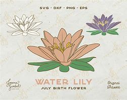 Image result for Water Lily Stem SVG