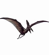 Image result for Pteranodon