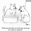 Image result for Cat Litter Box Cartoon