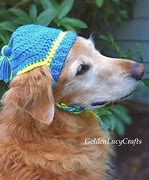 Image result for Crochet Dog Hat