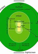 Image result for Cricket Field Drawn and Labelled