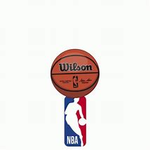 Image result for NBA Logo Small