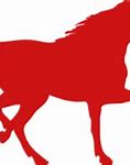 Image result for Horse racing