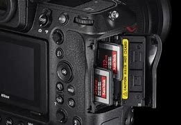 Image result for Best Cf Express Card for Nikon Z9 Photos