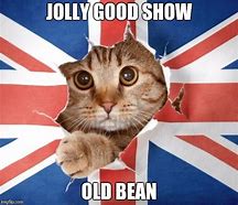 Image result for English Cat Meme