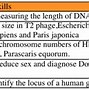 Image result for Chromosome 2