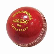 Image result for Kookaburra Cricket Bat