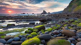 Image result for Moss Covered Stones