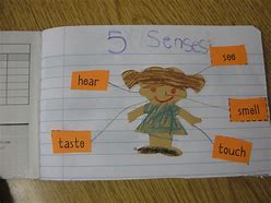 Image result for Five Senses Anchor Chart