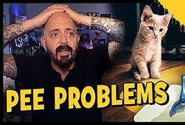 Image result for Jackson Galaxy On Litter Robot