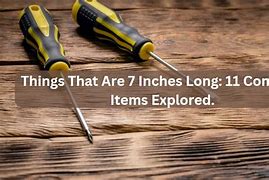 Image result for Things That Are Long