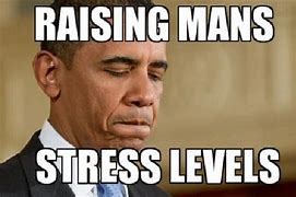 Image result for Too Much Stress Meme